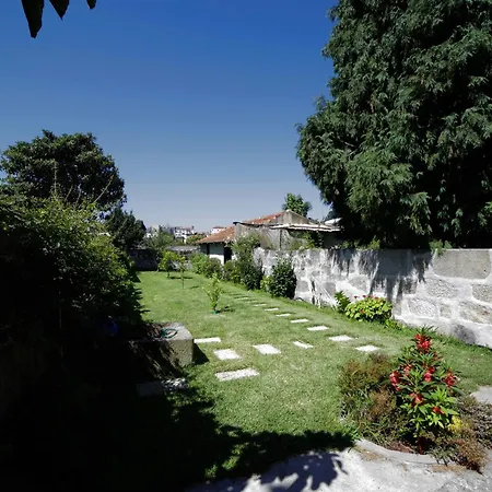 Apartment Cedofeita Back Garden